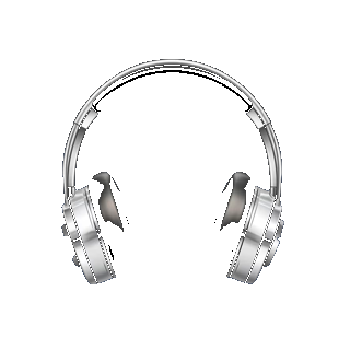 Accessory